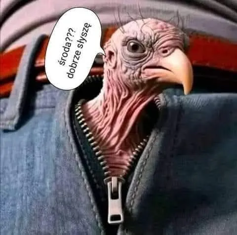 HALOTOTO